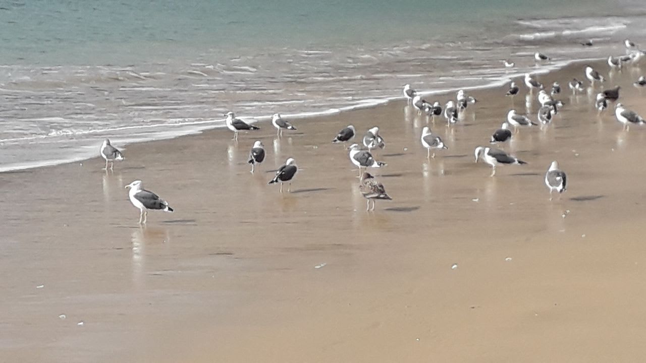 Strand Sesimbra Oceanfront Hotel