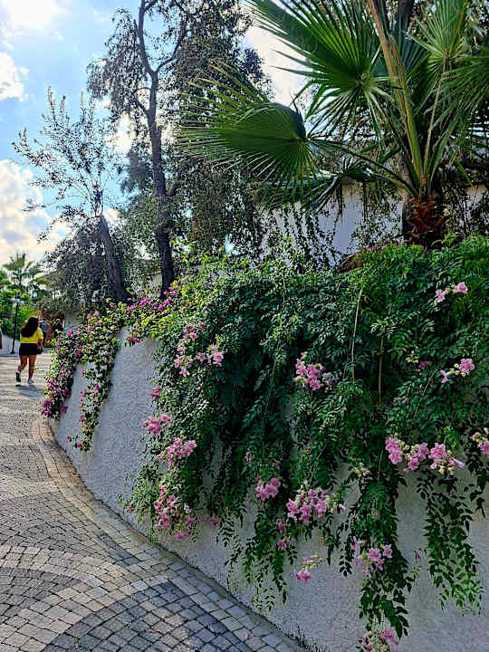 Gartenanlage Ada Port Hotel Adults Only