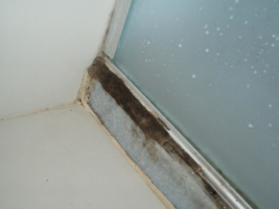 Shower with mould Hotel Rio 180° Suites & Cuisine