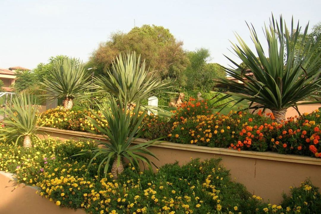 Gartenanlage Asteria Family Belek
