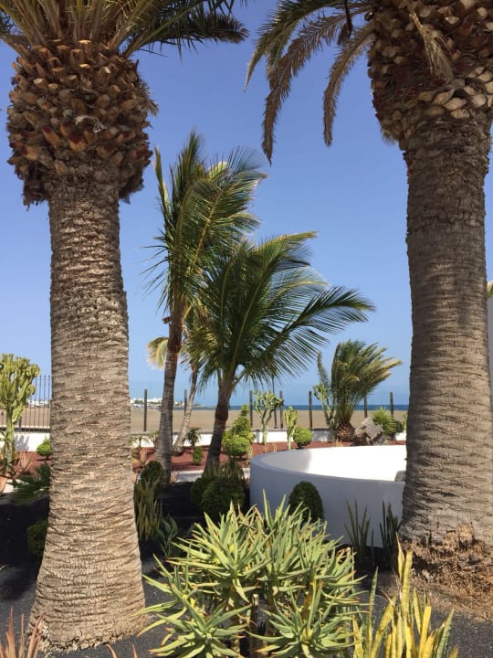 Ausblick Hotel Las Costas