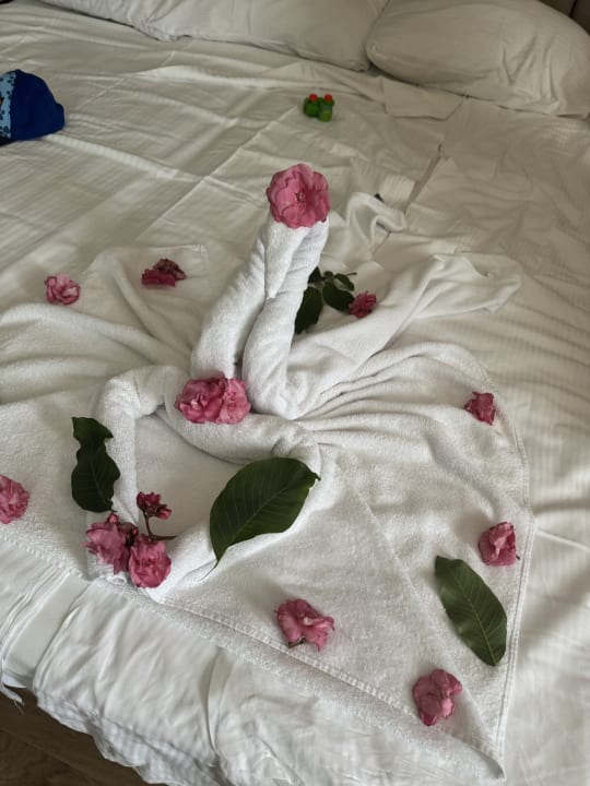 Zimmer Seaden Sea World Resort & Spa