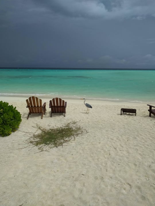 Diese Farben...  Summer Island Maldives