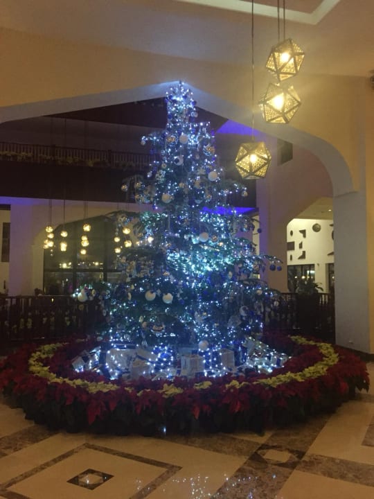 Lobby Steigenberger Aqua Magic