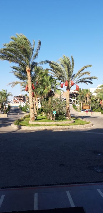 Ausblick Arabia Azur Resort