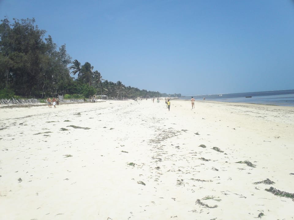 Plaża w czasie przypływu Hotel Coral Key Beach Resort