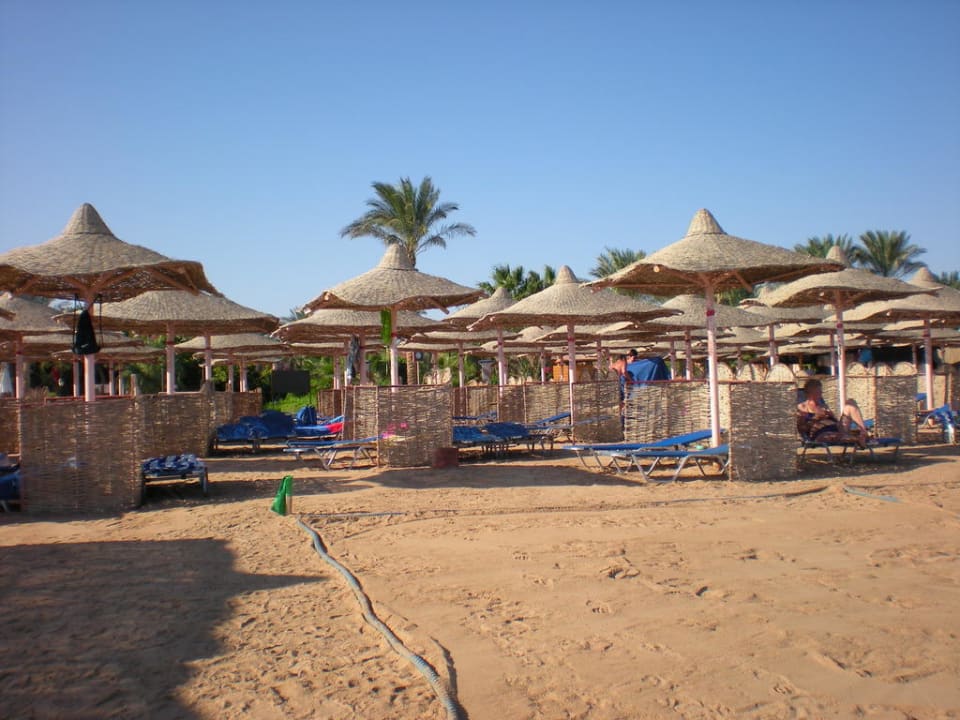 Strand um 9:00h morgens Jaz Makadi Oasis Resort