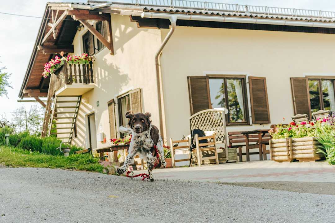 Außenansicht Weingut Pension Hack-Gebell