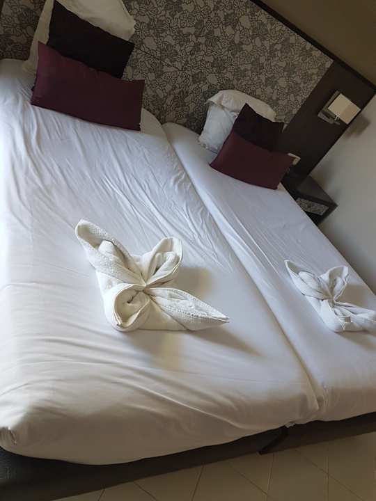 Zimmer Hotel Rosa Beach