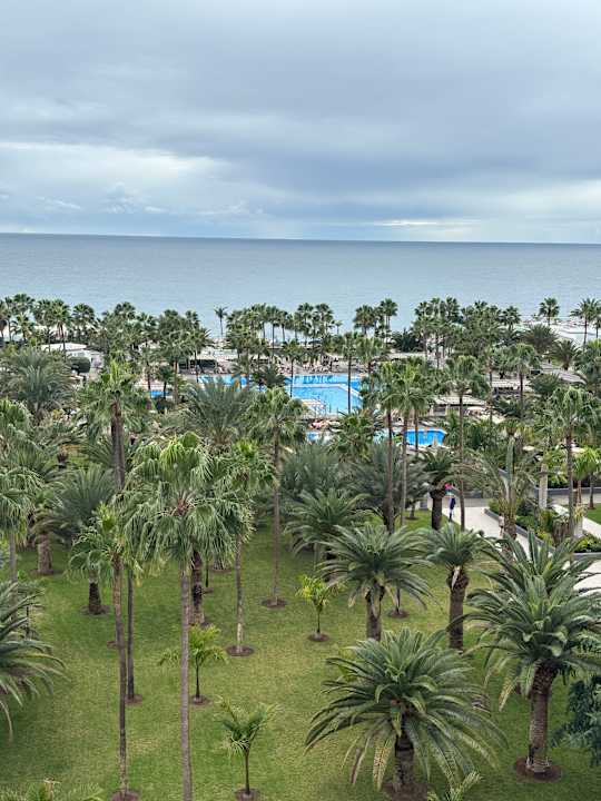 Gartenanlage Hotel Riu Gran Canaria