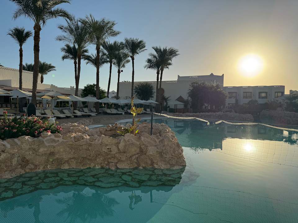 Pool Ghazala Gardens