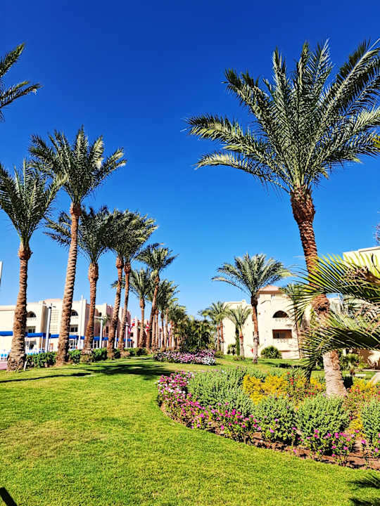Gartenanlage Pickalbatros Aqua Vista Resort - Hurghada