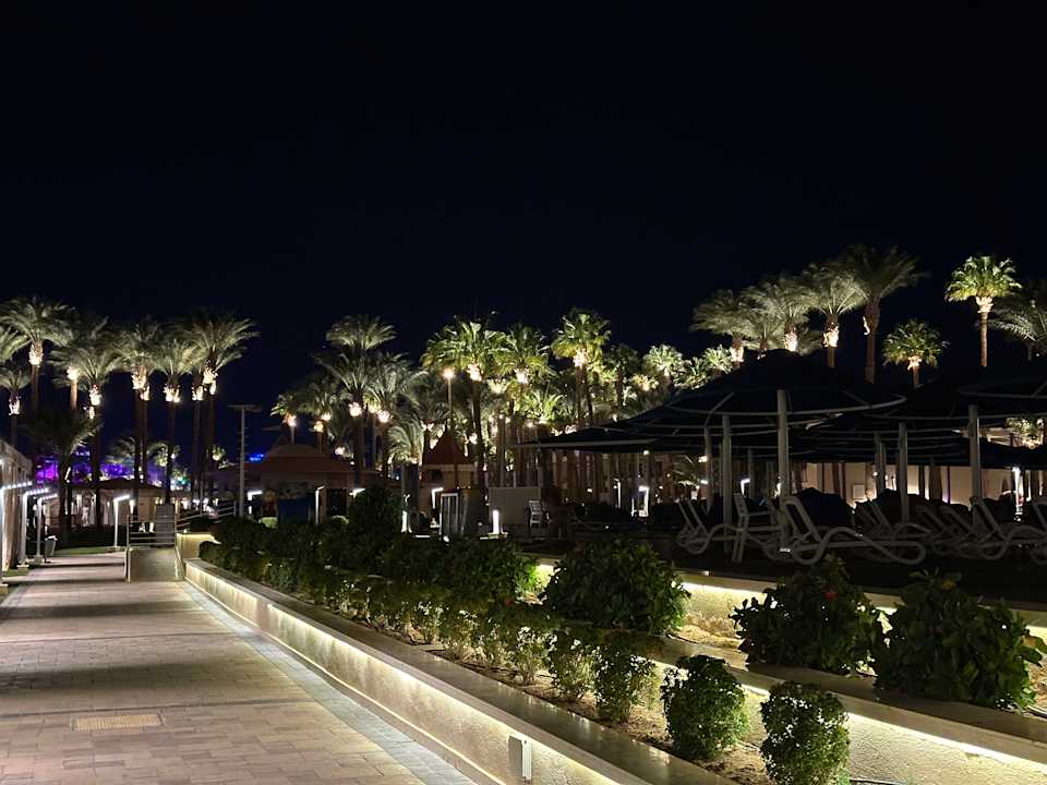 Außenansicht Beach Albatros Resort