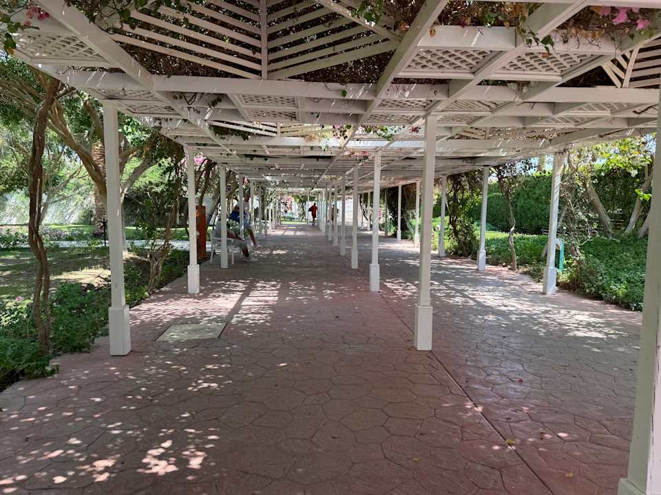 Sonstiges Desert Rose