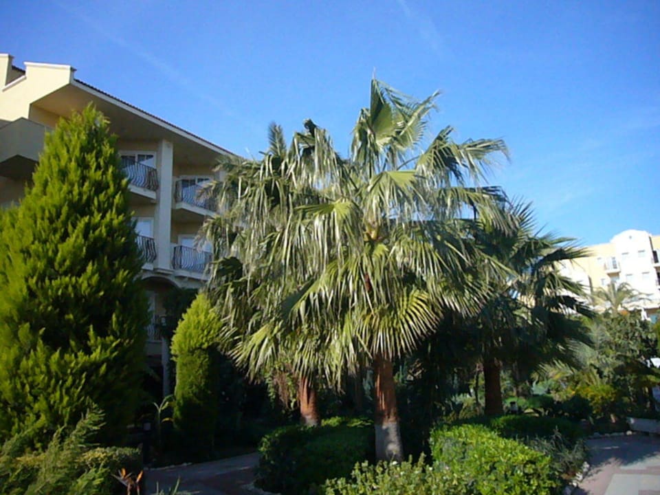 Hotel vom Garten aus Belek Beach Resort Hotel
