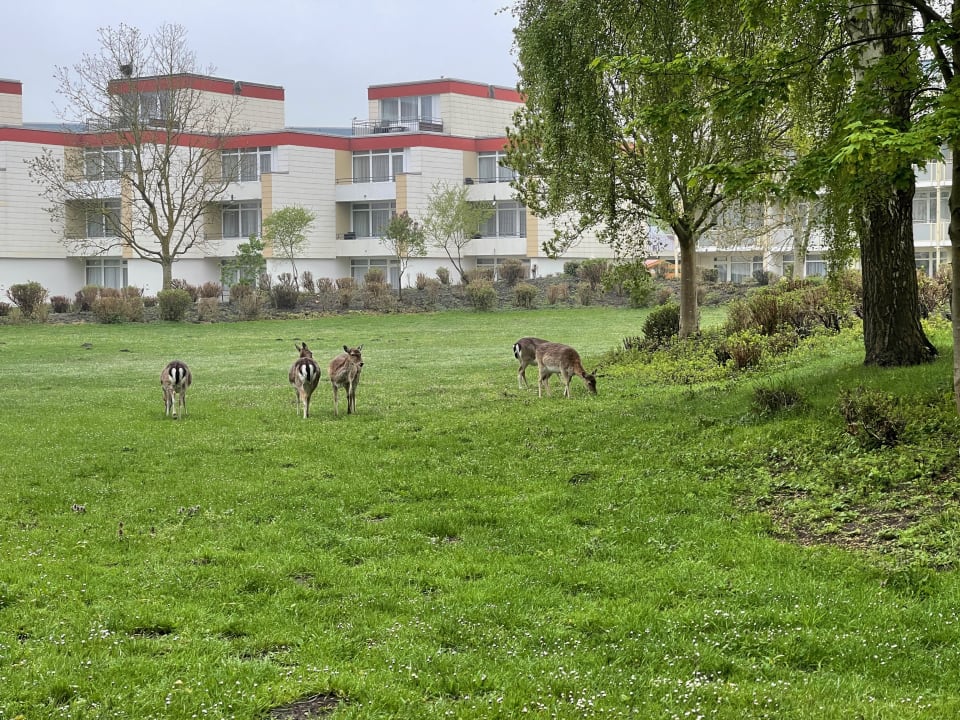 Außenansicht Ferienwohnungen Ferienpark Weissenhäuser Strand