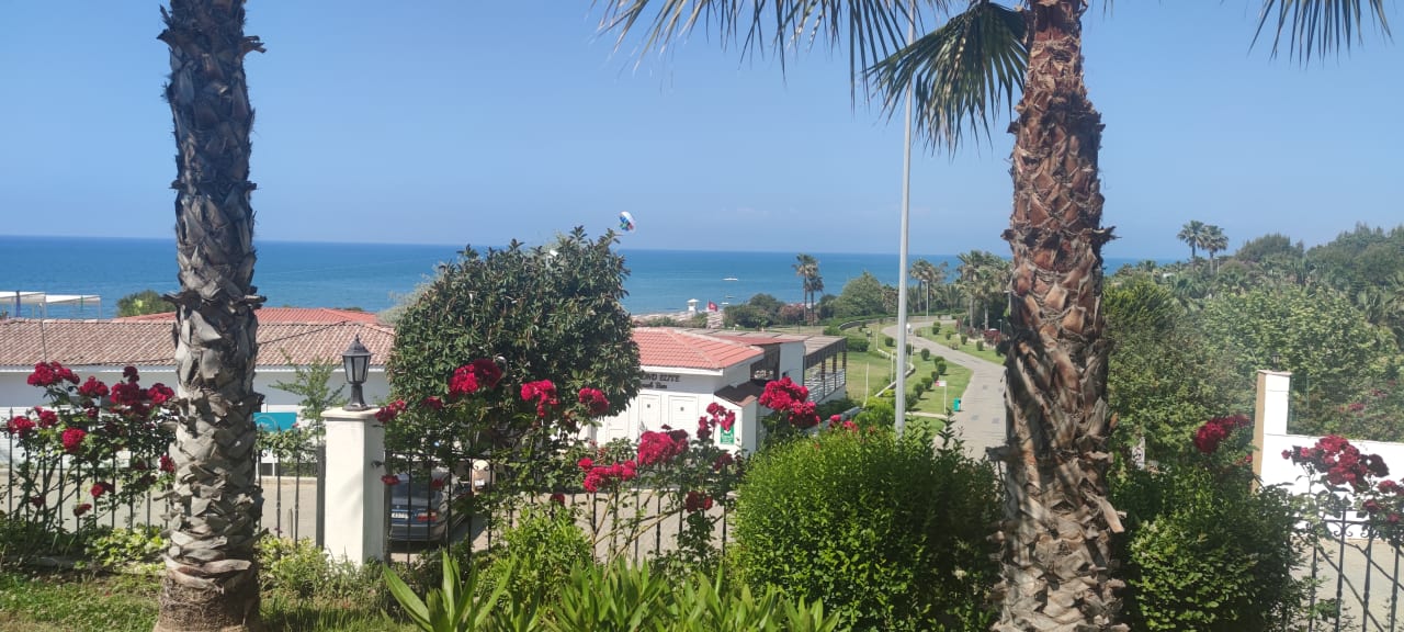 Garten Alba Queen Hotel