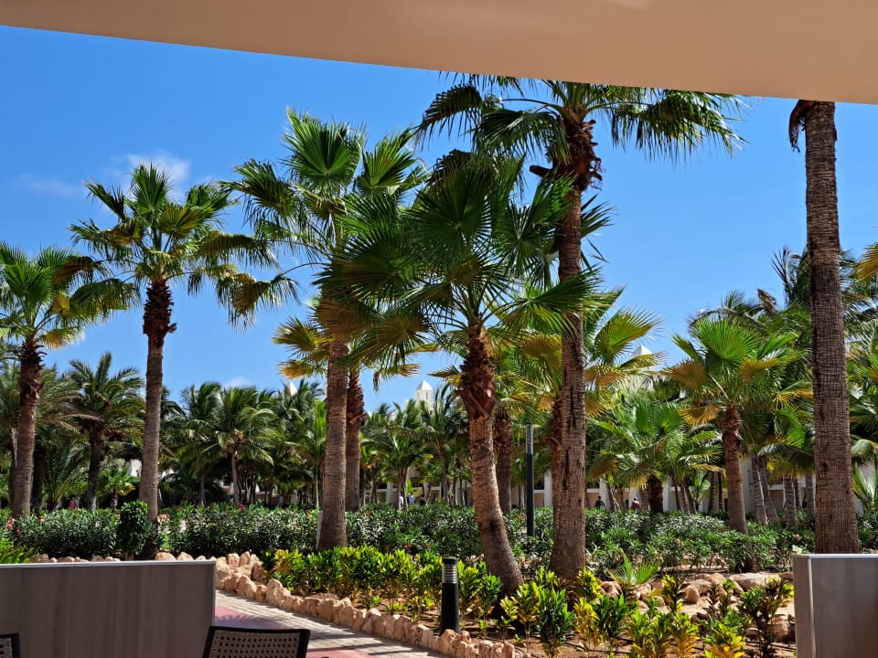 Gartenanlage Hotel Riu Karamboa