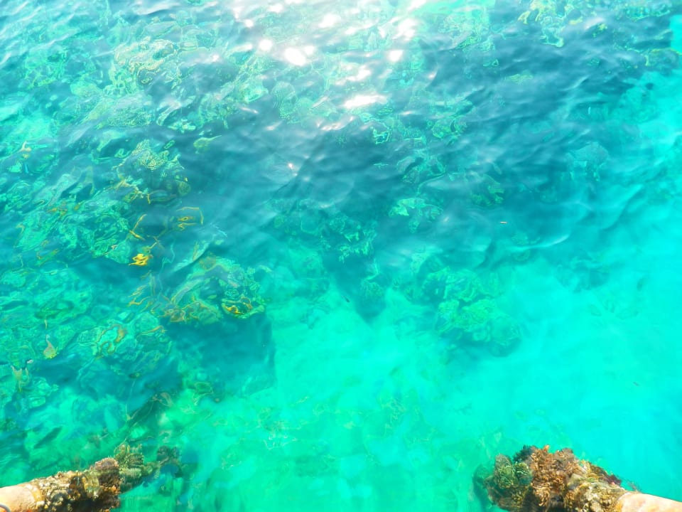 Пантон Shams Alam Beach Resort