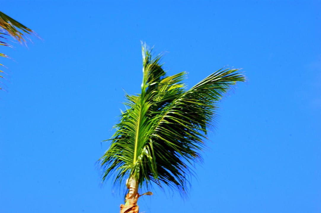 Niebo tak ja woda - czyściutkie Grand Palladium Select Bávaro Resort & Spa