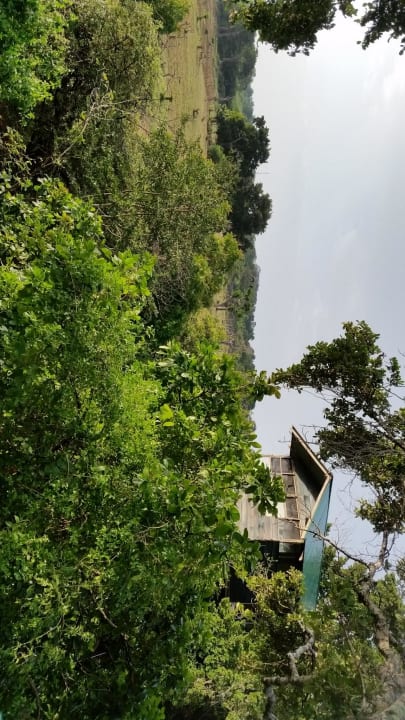 Baumhauszimmer Hotel Bentota Village