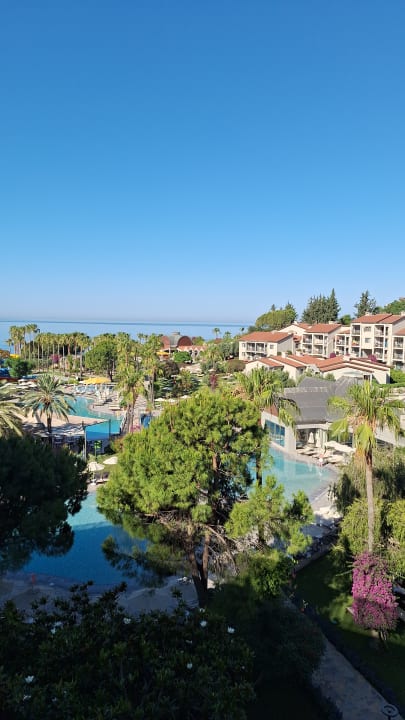 Ausblick Arum Barut Collection