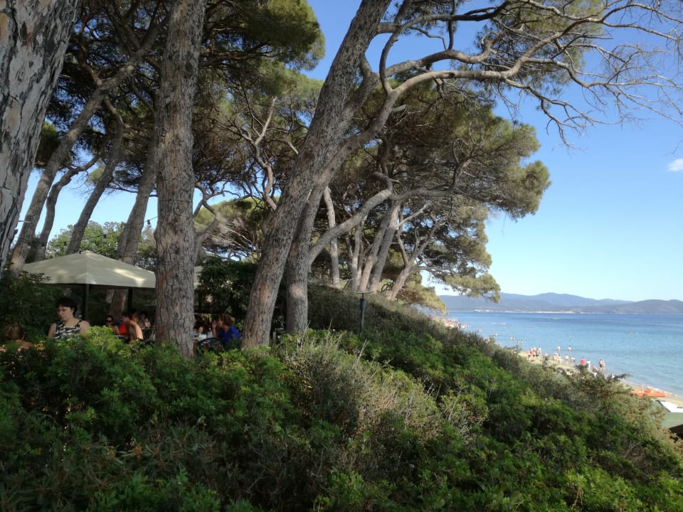 Sonstiges Il Pelagone Hotel & Golf Resort Toscana