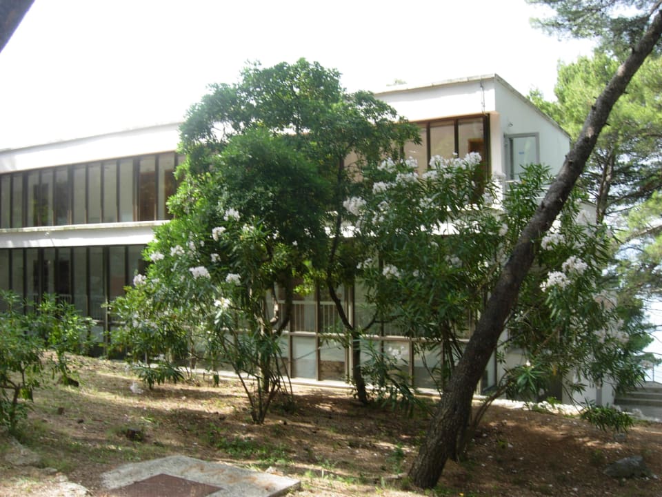 Soline Hinteransicht Bluesun Hotel Soline