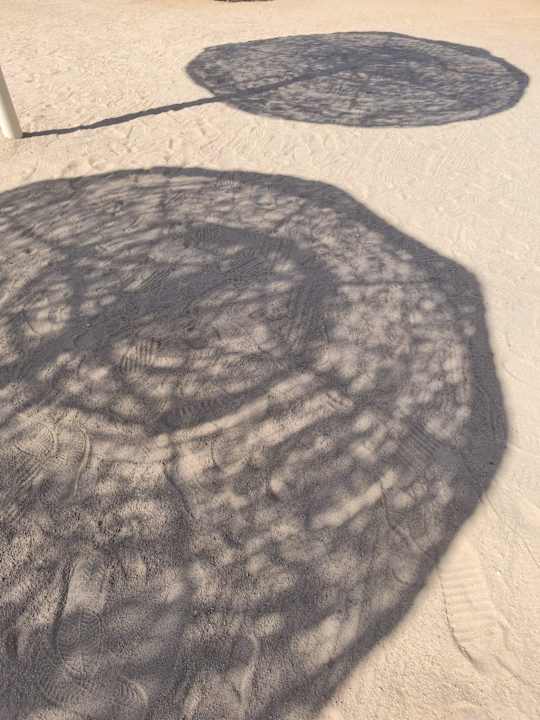 Sonstiges Pickalbatros Citadel Resort