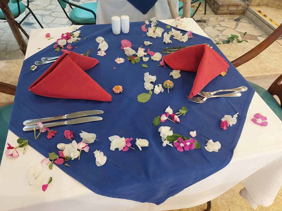 Gastro Shams Safaga Resort