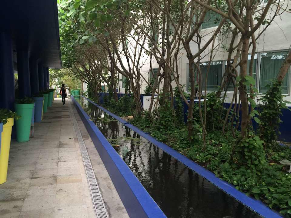 Gartenanlage Hotel The Shore Club