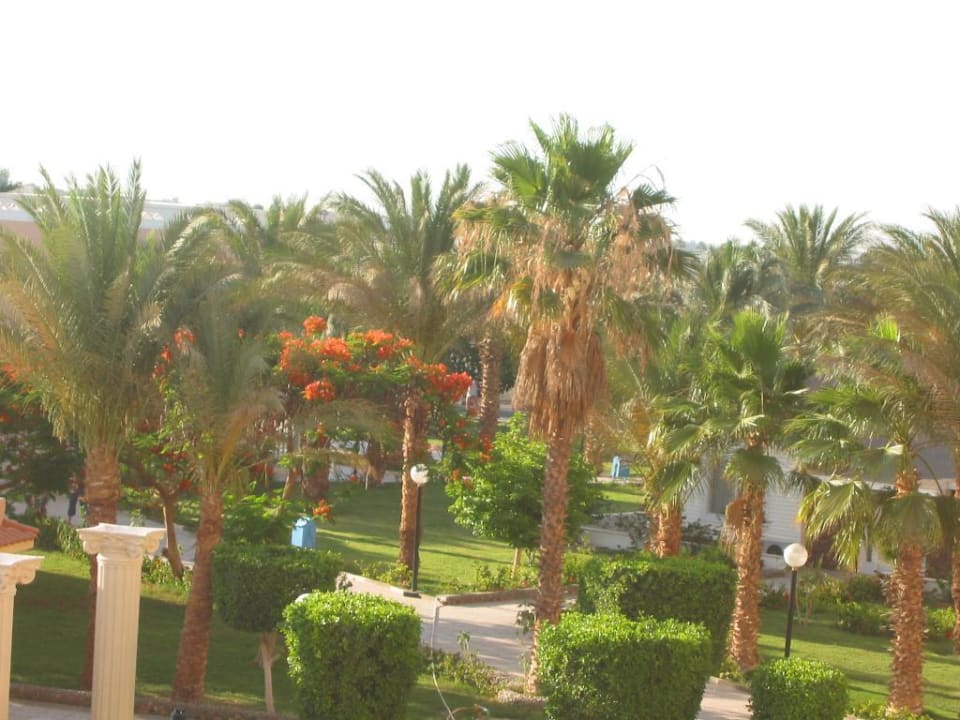 Primasol Beach Albatros Beach Albatros Resort