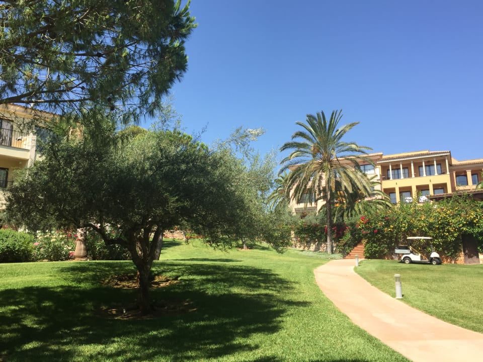Gartenanlage ROBINSON CALA SERENA
