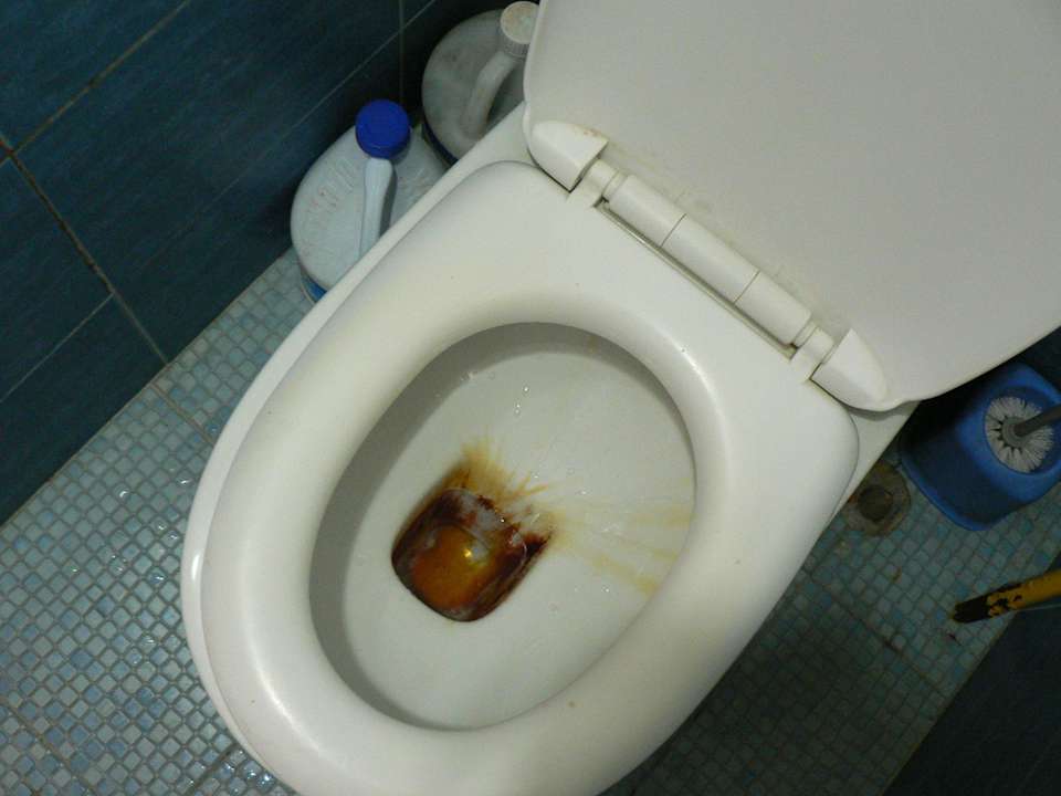 Туалет Hostel Ashoka