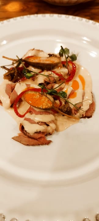 Gastro Acanthus Cennet Barut Collection