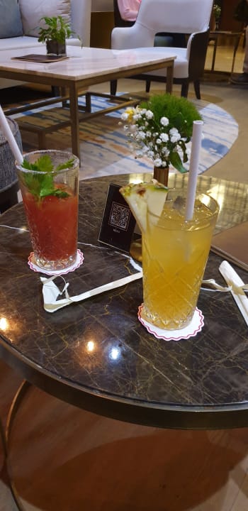 Gastro Acanthus Cennet Barut Collection