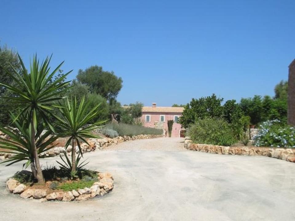 Auffahrt zur Finca Finca Can Pina