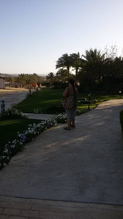 Ein Weg zum Strand Steigenberger Coraya Beach - Adults only