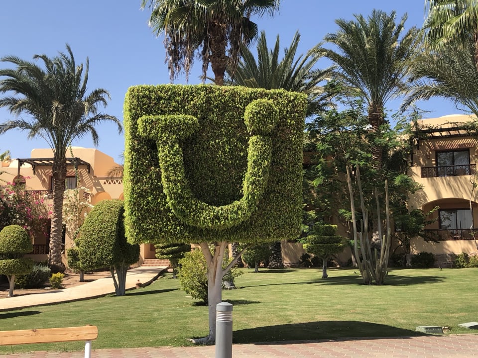 Gartenanlage Steigenberger Coraya Beach - Adults only