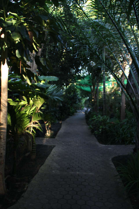 Tropischer Garten Laluna Hotel & Resort