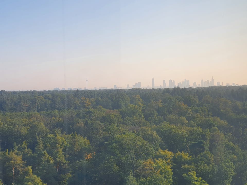 Ausblick Hilton Garden Inn Frankfurt Airport