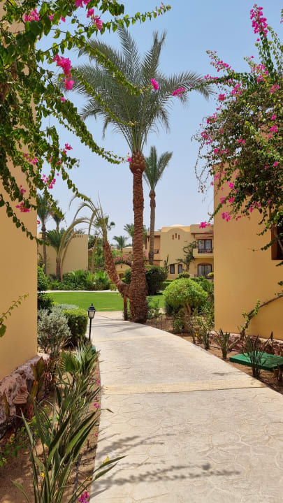 Gartenanlage Steigenberger Coraya Beach - Adults only