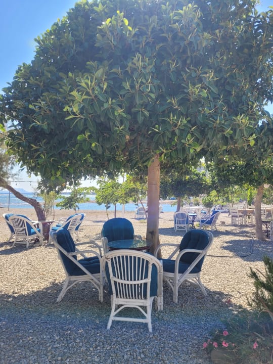 Sonstiges Paralos Irini Mare