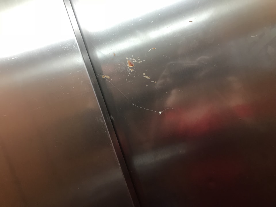 Lobby Hotel Riu Republica - Adults only