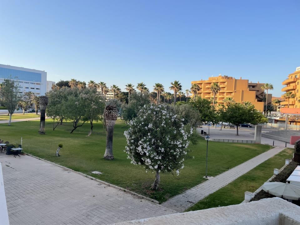 Ausblick Hipotels Cala Millor Park