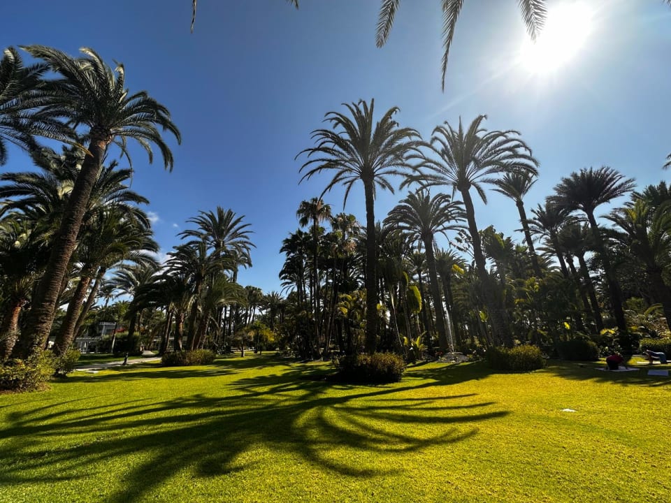 Gartenanlage Hotel Riu Palace Oasis