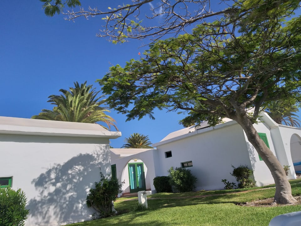 Außenansicht Canary Garden Club