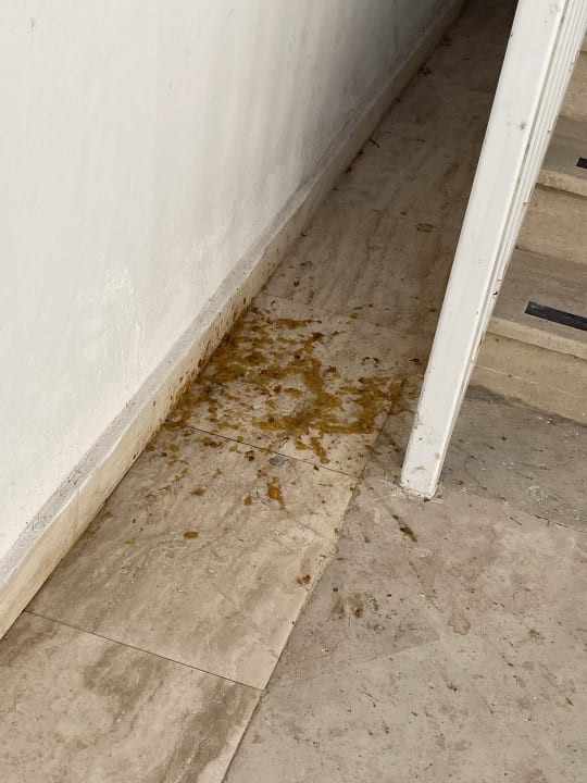 Zimmer Monachus Family Resort Sorgun