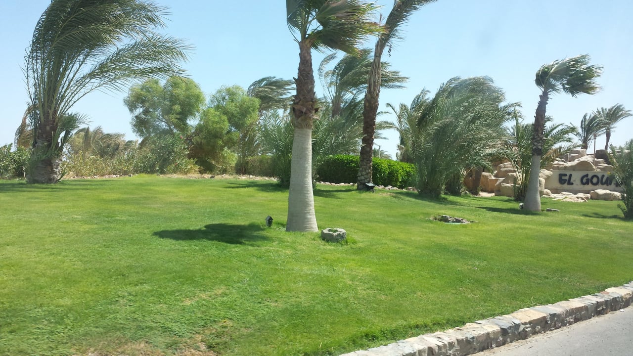 Einfahrt nach El Gouna Three Corners Rihana Resort Deluxe