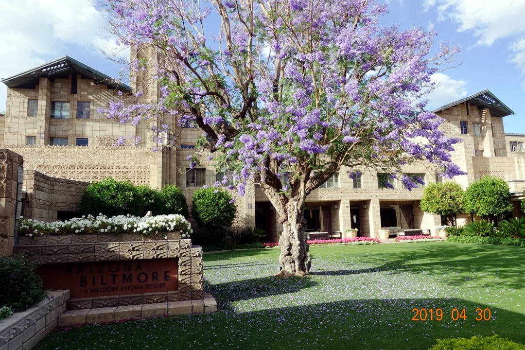 Außenansicht Arizona Biltmore, A Waldorf Astoria Resort